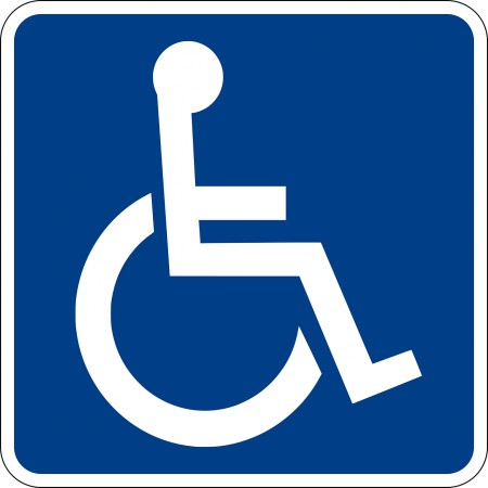 Programma Disabilità Gravissime